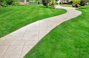 Lawn and curved path as background or texture